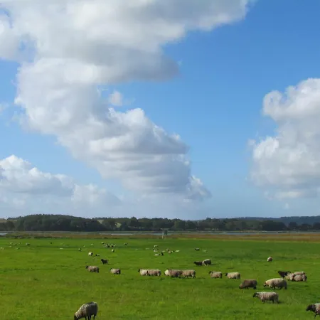 Feriehus Dorie Sellin (Rugen)